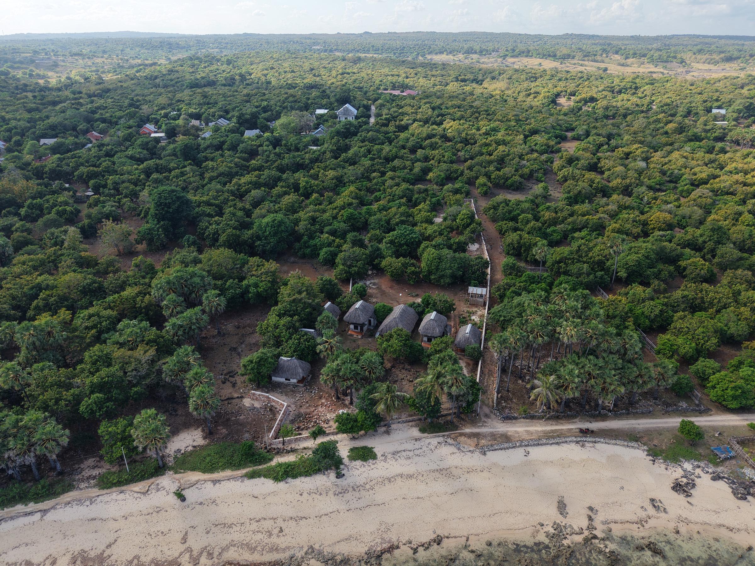 Aerial view along the coast showing the beach road and neighbouring properties