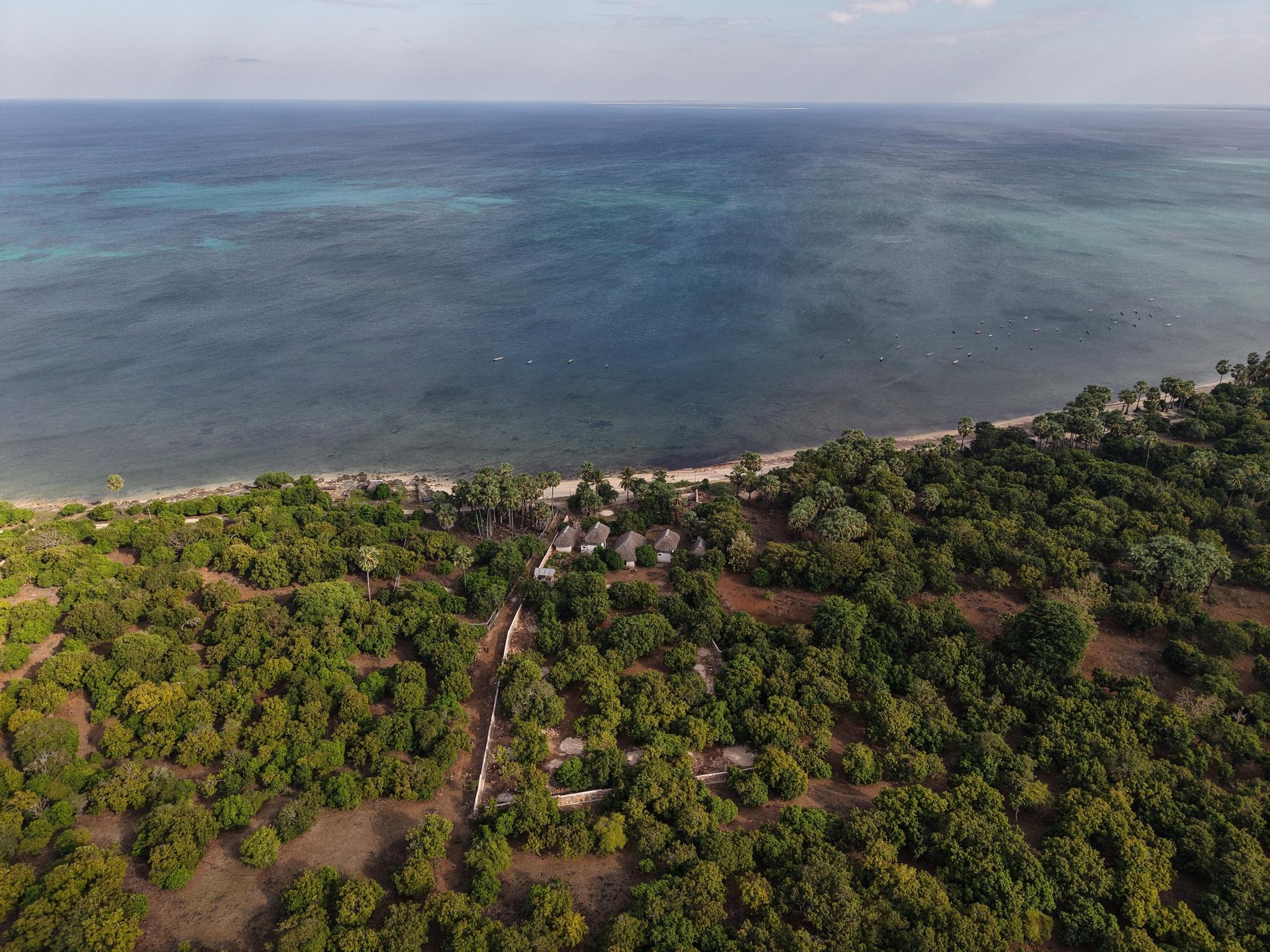 Aerial view west from above the plot across the reef to the open Savu Sea