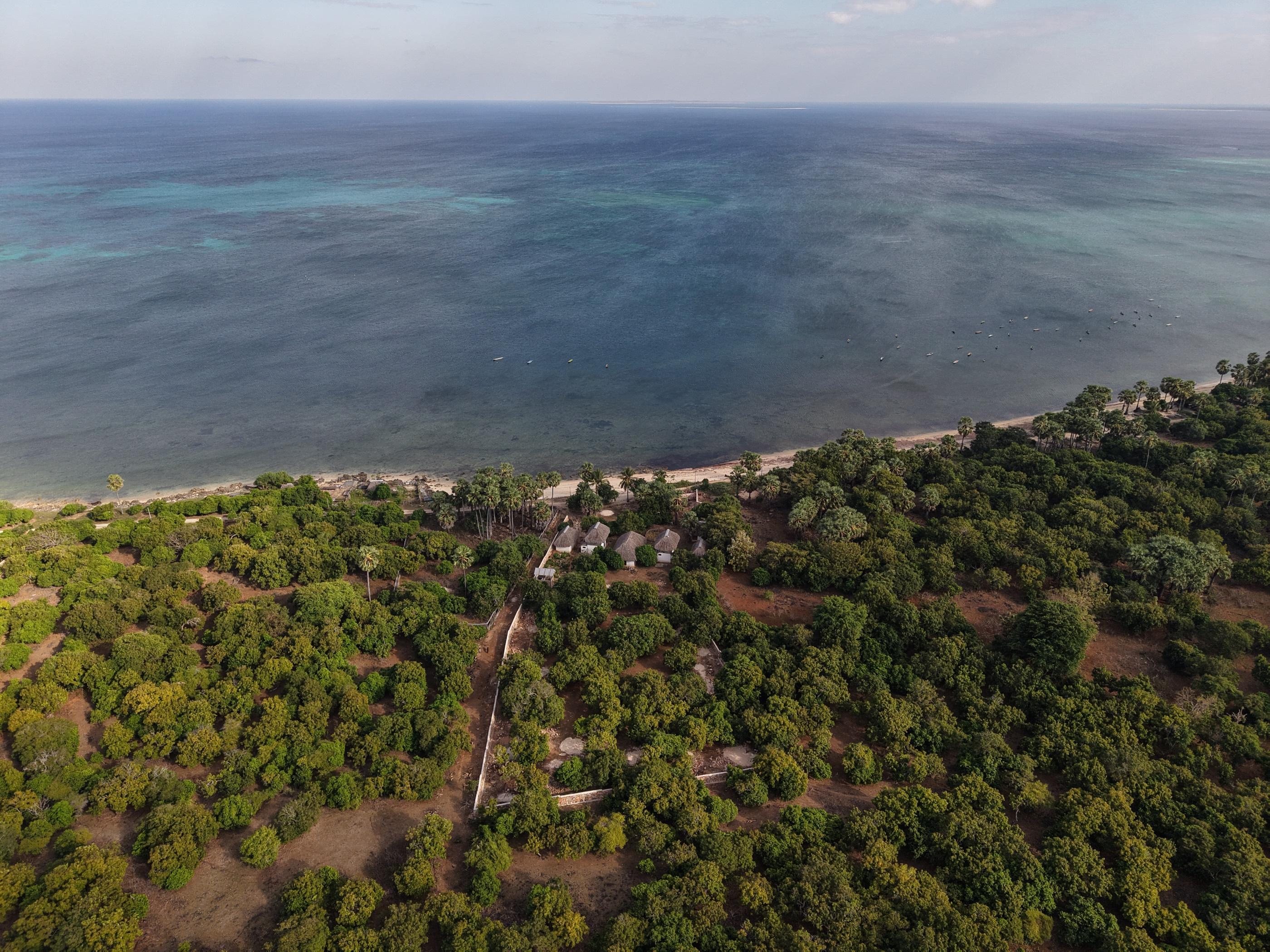 Aerial view west across the reef from above the Neala plot at Sedeoen, Rote Island