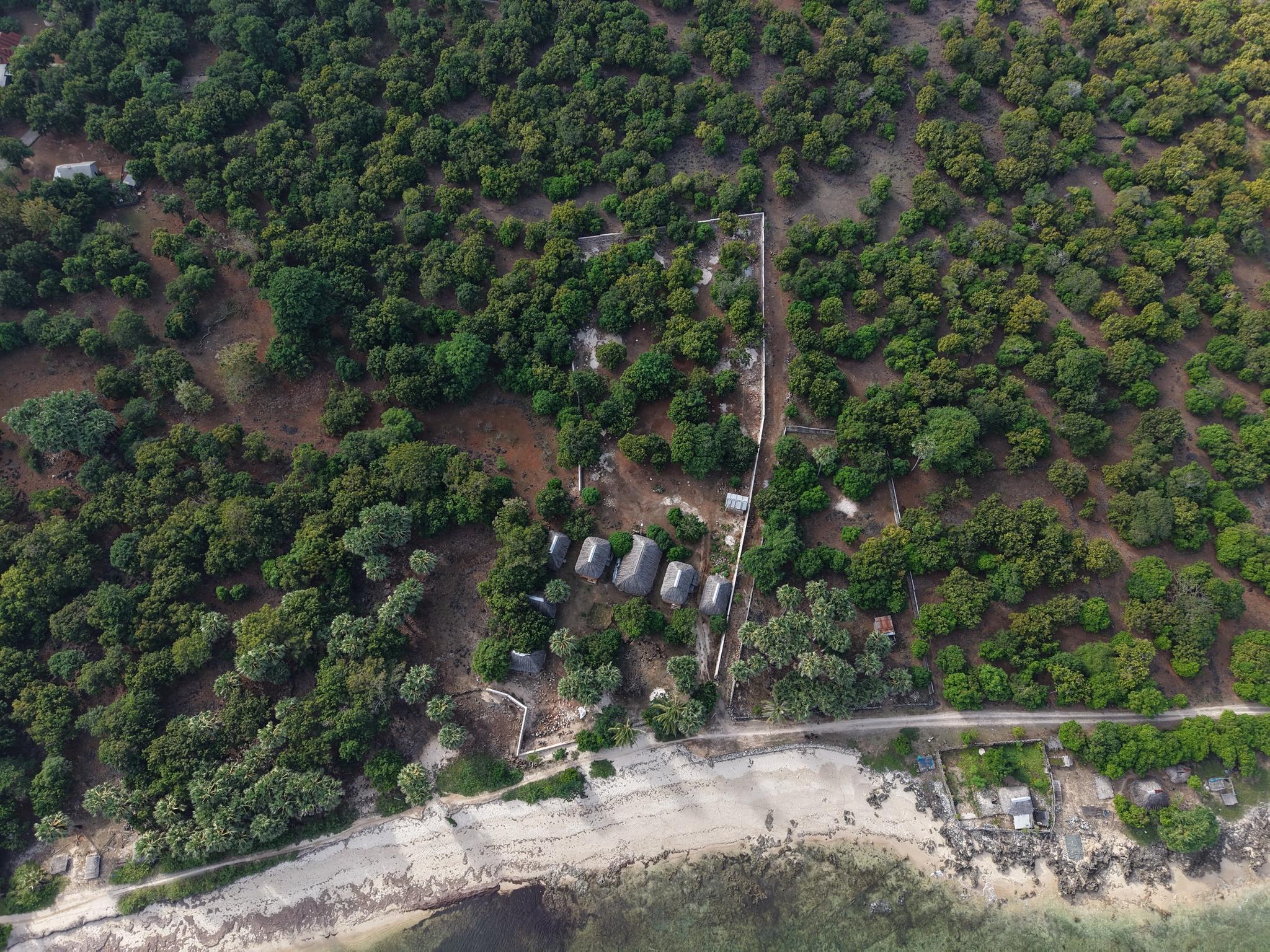 Top-down aerial showing the parcel boundary and the road along the southern edge