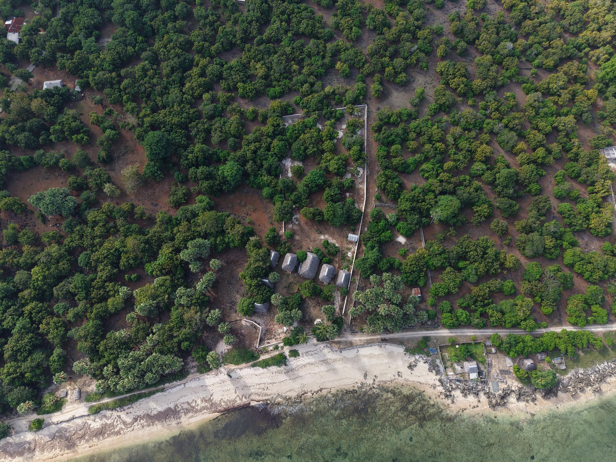 Aerial view of the beach road running along the southern boundary of the plot