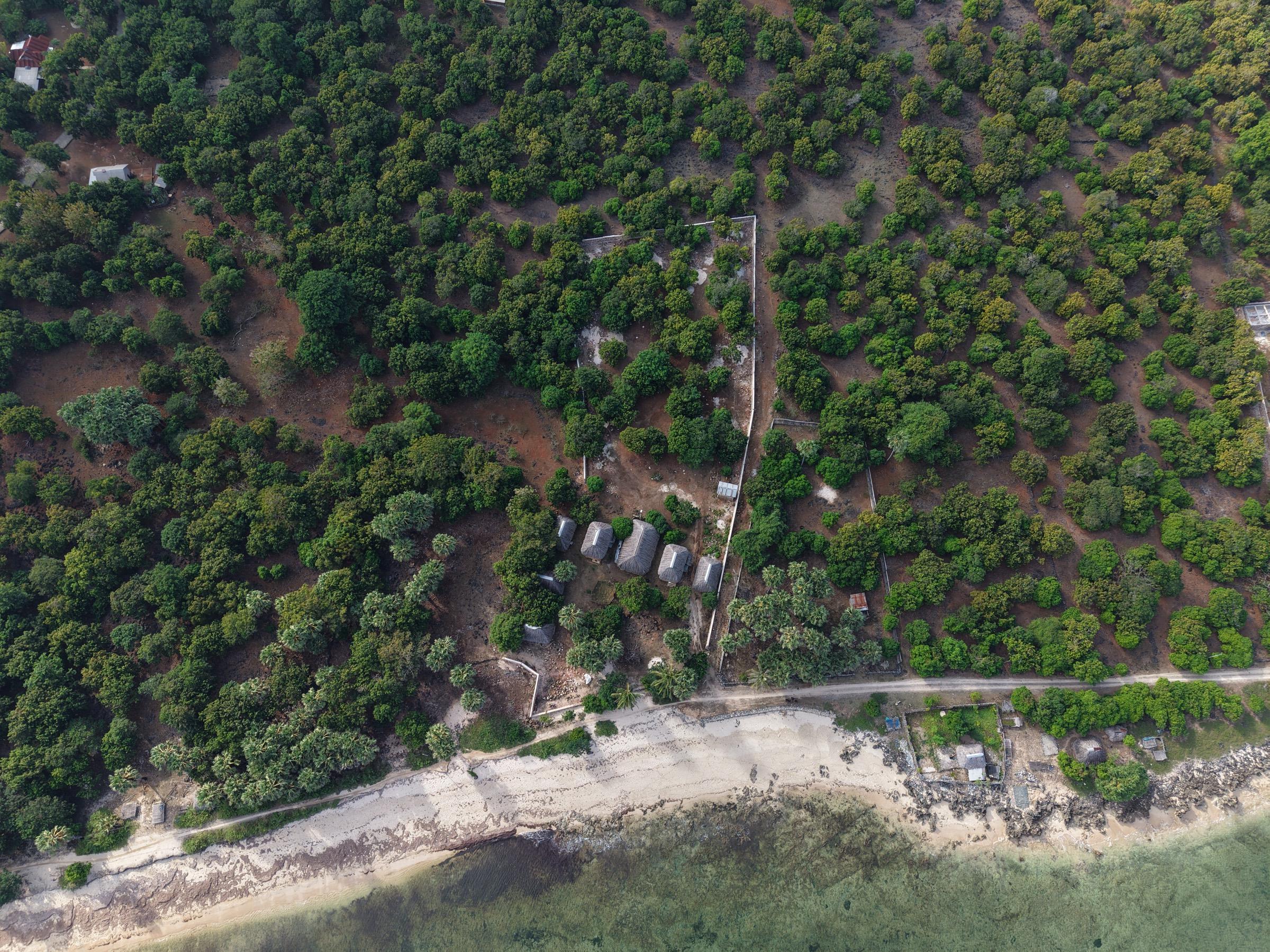 Aerial view of the beach road running along the southern boundary of the plot